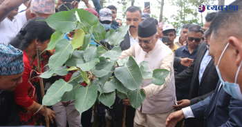  सामुदायिक वन दिवसको उपलक्ष्यमा बृहत वृक्षारोपण कार्यक्रम सम्पन्न